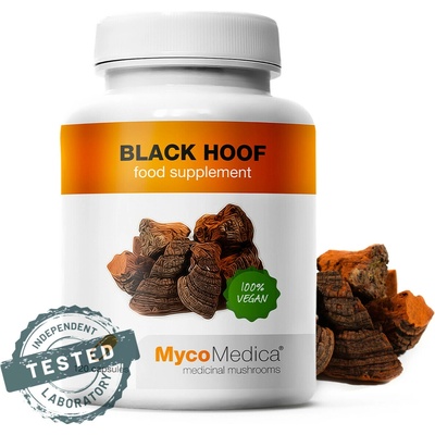 MycoMedica Phellinus 30% 90 kapsúl