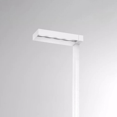 Molto Luce 723-00111011455t