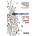 Simply Complexity | Neil Johnson
