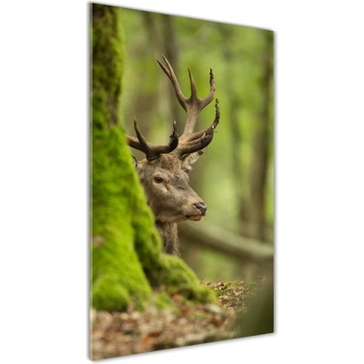 Vertikálny foto obraz sklo tvrdené Jeleň 50x100 cm