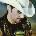 Brad Paisley - This Is Country Music (CD) (0886978327420)