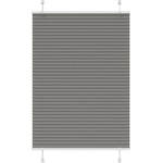 vidaXL Плисирана щора Антрацит 100x150 cm Ширина на плата 99, 4 cm (4015092)