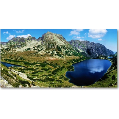 Foto obraz sklo tvrzené tráva 100x50 cm