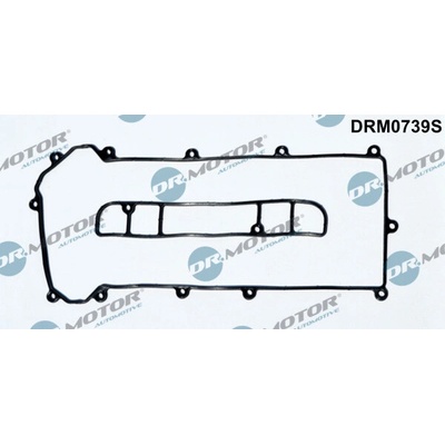 DR.MOTOR AUTOMOTIVE Tesnenie veka hlavy valcov DRM0739S