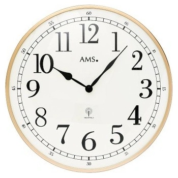 AMS 5607