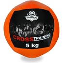 Bushido Wall ball 6 Kg