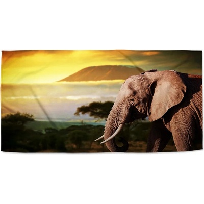 Sablio Uterák Slon z profilu 70 x 140 cm