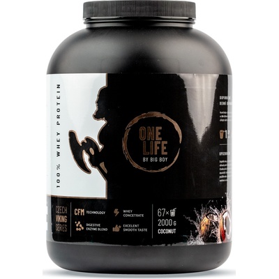 ONE LIFE 100 % Whey Protein 2000 g