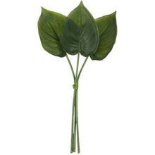 3 okrasné listy Philodendron I - 30cm