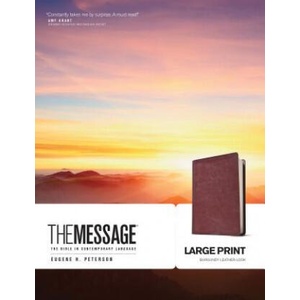 Message Bible | Eugene H Peterson (ISBN: 9781576838464)