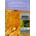 Mapping Doggerland - Gaffney Vincent