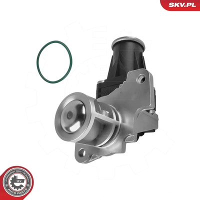 ESEN SKV AGR ventil ESN 14SKV318