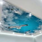 Art Gift Decor Фототапет за таван Гларуси в небето