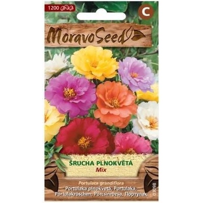 Šrucha velkokvětá plnokvětá směs 0.2g MS