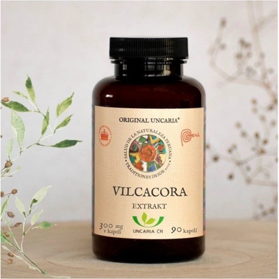 Uncaria Vilcacora Original Extrakt 90 kapslí