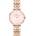 Daniel Wellington DW00100617