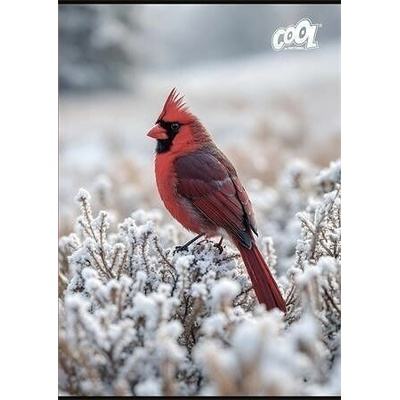 COOL BY VICTORIA Sešit Little Birds 87 32 mix motivů A4 čtverečkovaný