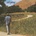 Neil Young - Old Ways - CD