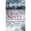 Knihy Rozbouřené vody - Steel Danielle
