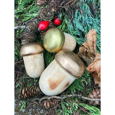 Dijk Natural Collection Žaludy dřevěné sada metalická