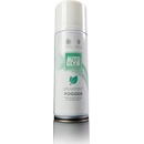 Autoglym Fogger Spearmint 150 ml