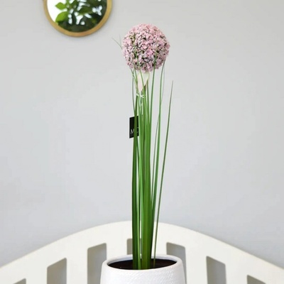Umělá rostlina Allium, 80 cm, fialová 913969