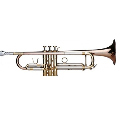 Lechgold TR-14G – Zboží Dáma