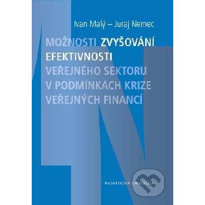 Možnosti zvyšování efektivnosti veřejného sektoru v podmínkách krize veřejných financí. - Juraj Nemec
