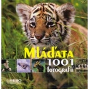 Mláďata