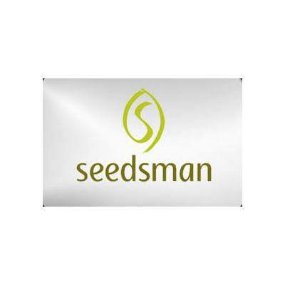 Seedsman Seeds White Widow Fast semena neobsahují THC 3 ks