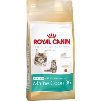 Royal Canin FBN Kitten Maine Coon 36 10 kg
