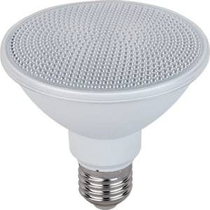 ELMARK Led ЛАМПА cob par30 15w e27 ip65 230v СТУДЕНО БЯЛО (99led932cw)
