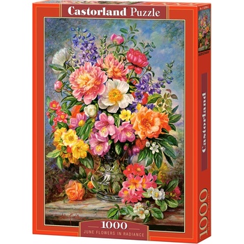 Castorland Пъзел Castorland от 1000 части - Юнски цветя, Алберт Уилямс (C-103904)