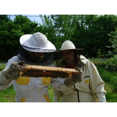 Včelařem na zkoušku