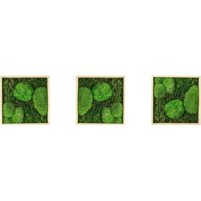Gardners Set 3 mechových obrazů 22x22 kombinovaný mech kopečkový s plochým, přírodní