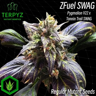 TerpyZ Mutant Genetics Zfuel Swag regular semienka neobsahujú THC 10 ks