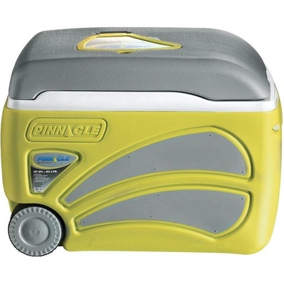Pinnacle Proxon 45L