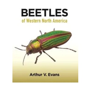 Beetles of Western North America | Arthur V. Evans (ISBN: 9780691164281)