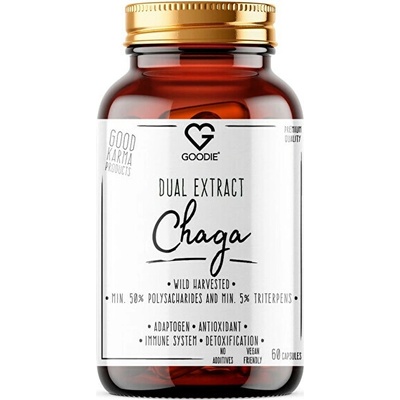 Chaga dual extrakt min.50 % polysacharidů, divoký sběr 60 kapslí