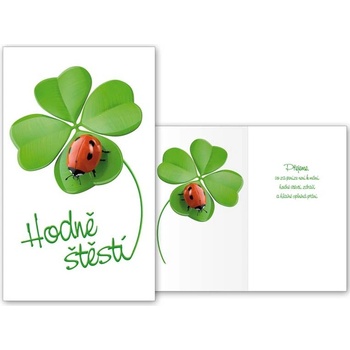 MFP PRANI T 1005 přání srdečné M11-364 T