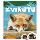 Zvířata