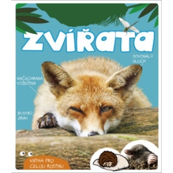 Zvířata