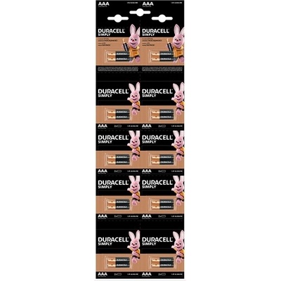Duracell Батерия micro DURACELL Basic MN2400 AAA 2x10 10PP100063 (10PP100063)