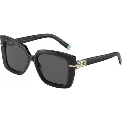 Tiffany & Co. TF4199 8001S4