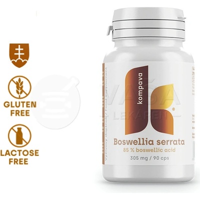 Kompava Boswellia serrata 305 mg 90 kapsúl
