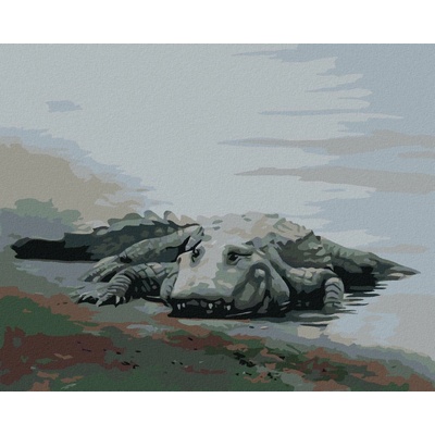 ZUTY Malování podle čísel ALIGÁTOR LEŽÍCÍ U VODY IV D. RUSTY RUST 40 x 50 cm Rámování vypnuté plátno na rám