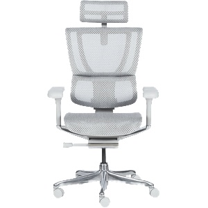 Ergohuman Ергономичен стол ergohuman ioo elite 2 - сива рамка - сив (3520669) - bay