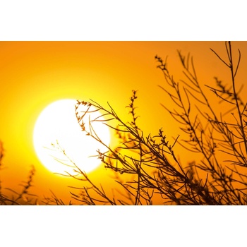 DIMEX ART s. r. o Флизелинов фототапет есенен залез 375 x 250 см