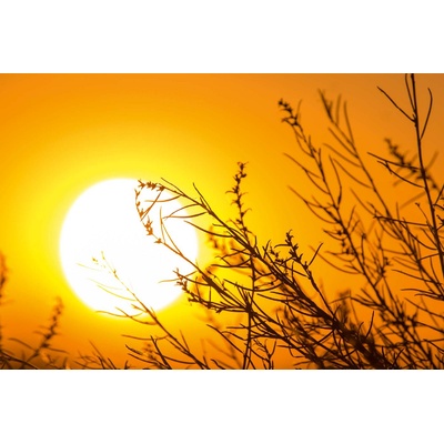 DIMEX ART Флизелинов фототапет есенен залез 375 x 250 см