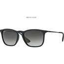 Ray-Ban RB4187 622 8g